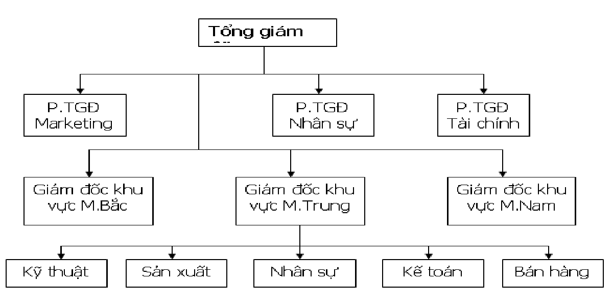 Mô hình quản lý nhân sự theo khu vực phù hợp với doanh nghiệp đa chi nhánh