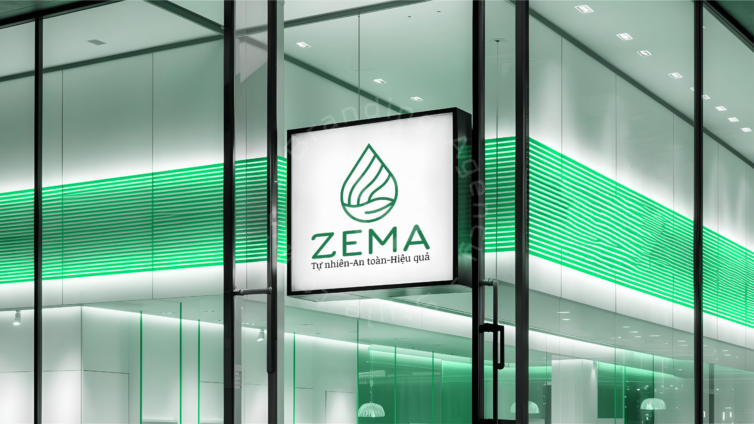 showcase zema 11